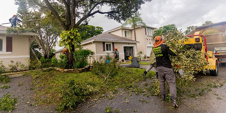 Emergency Storm Damage Services in Boca Raton FL