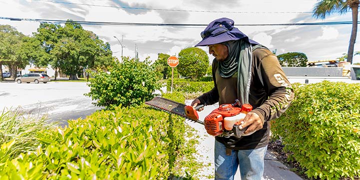 Hedge Trimming Experts in Boca Raton FL