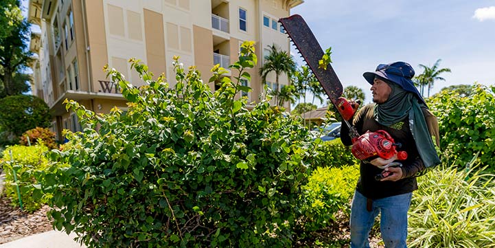 Hedge Trimming Service in Boca Raton FL