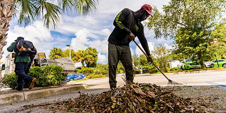 Landscape Clean Up Experts in Boca Raton FL