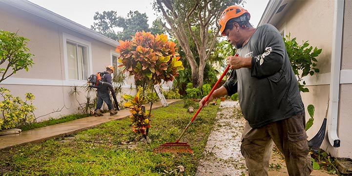 Landscape Clean Ups in Boca Raton FL
