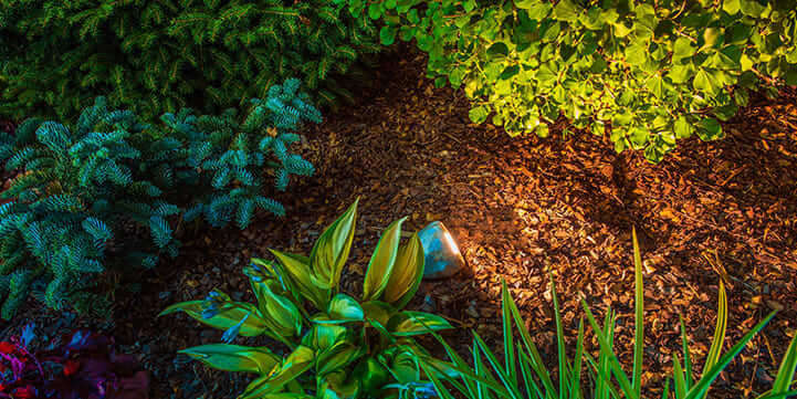 Landscape Lighting Spotlights in Boca Raton FL