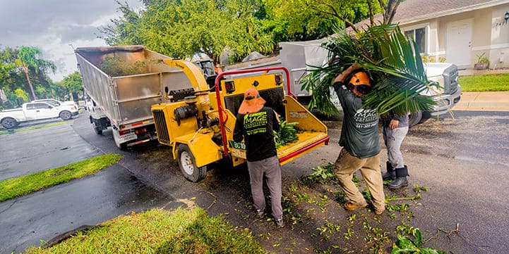 Landscaping Company in Jupiter FL