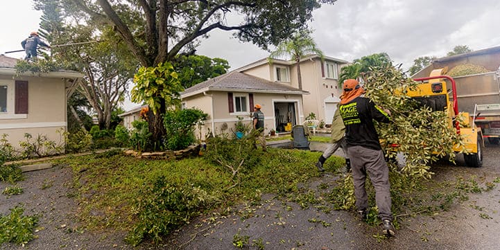 Landscaping Company in Wellington FL