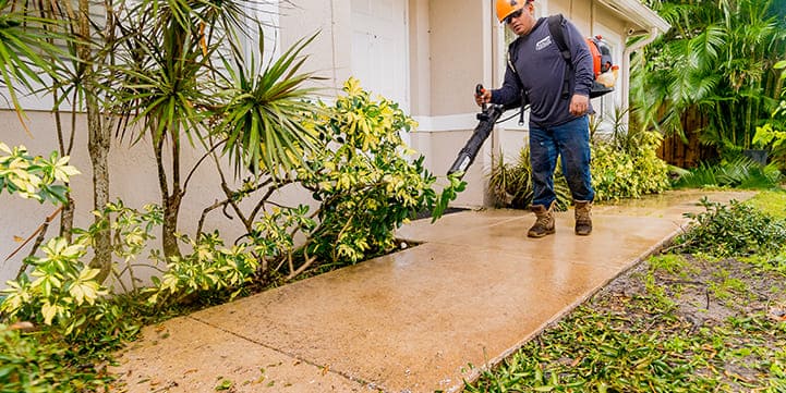 Landscaping Contractor in Delray Beach FL