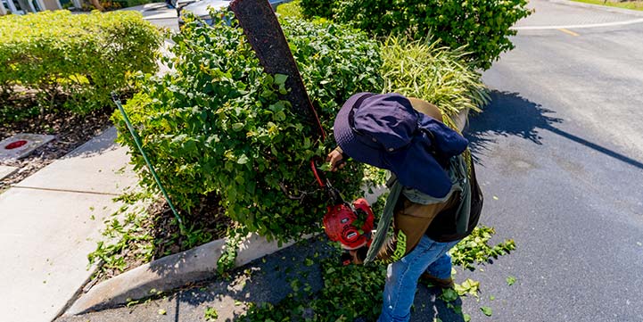 Landscaping Contractor in Lake Worth FL