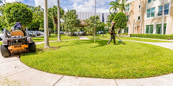 Landscaping Contractor in Palm Beach FL