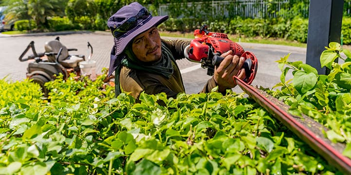 Landscaping Contractor in West Palm Beach FL