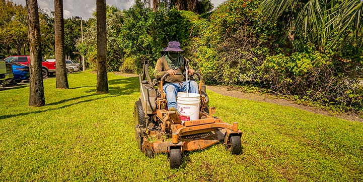 Lawn Care Solutions in Boca Raton FL