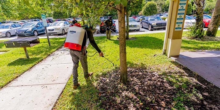 Lawn Fertilization Services in Boca Raton FL