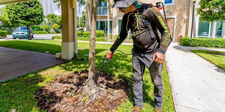 Lawn Fertilization Solutions in Boca Raton FL