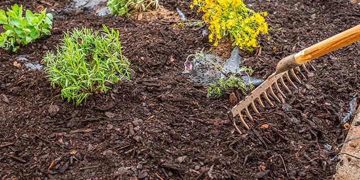 Mulch Application in Boca Raton FL