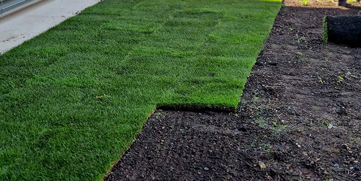 Sod Installation Services in Boca Raton FL