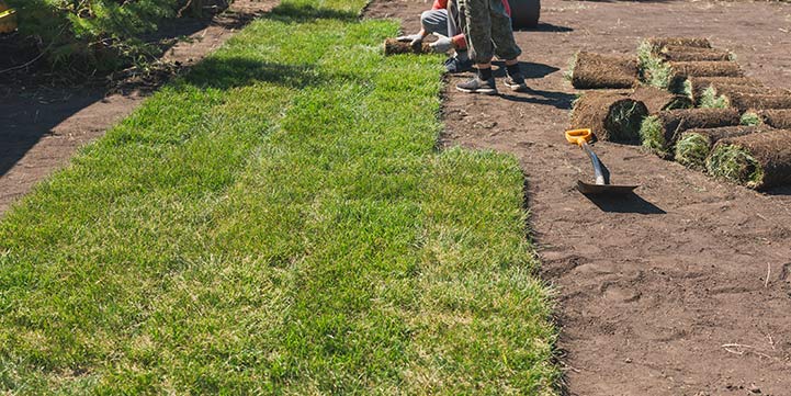 Sod Installation in Boca Raton FL
