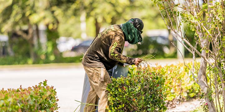 Spring Clean Up Services in Boca Raton FL