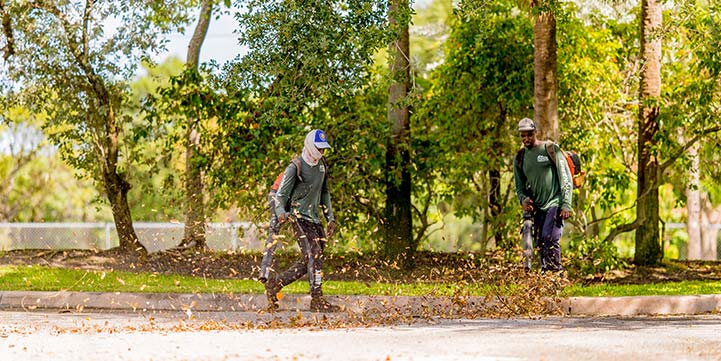  Spring Clean Up in Boca Raton FL