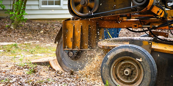 Stump Grinding Service in Boca Raton FL