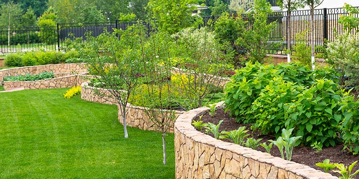 Tree Installers in Boca Raton FL