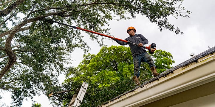 Tree Trimming Services in Boca Raton FL