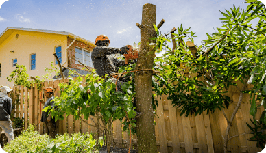 Backyard Oasis Project