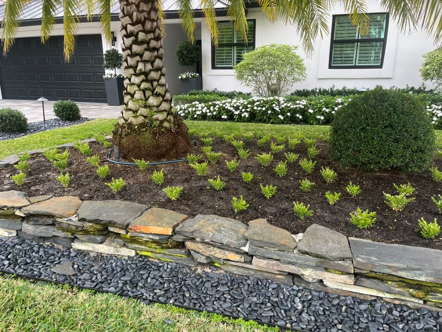 best landscape design Boca Raton