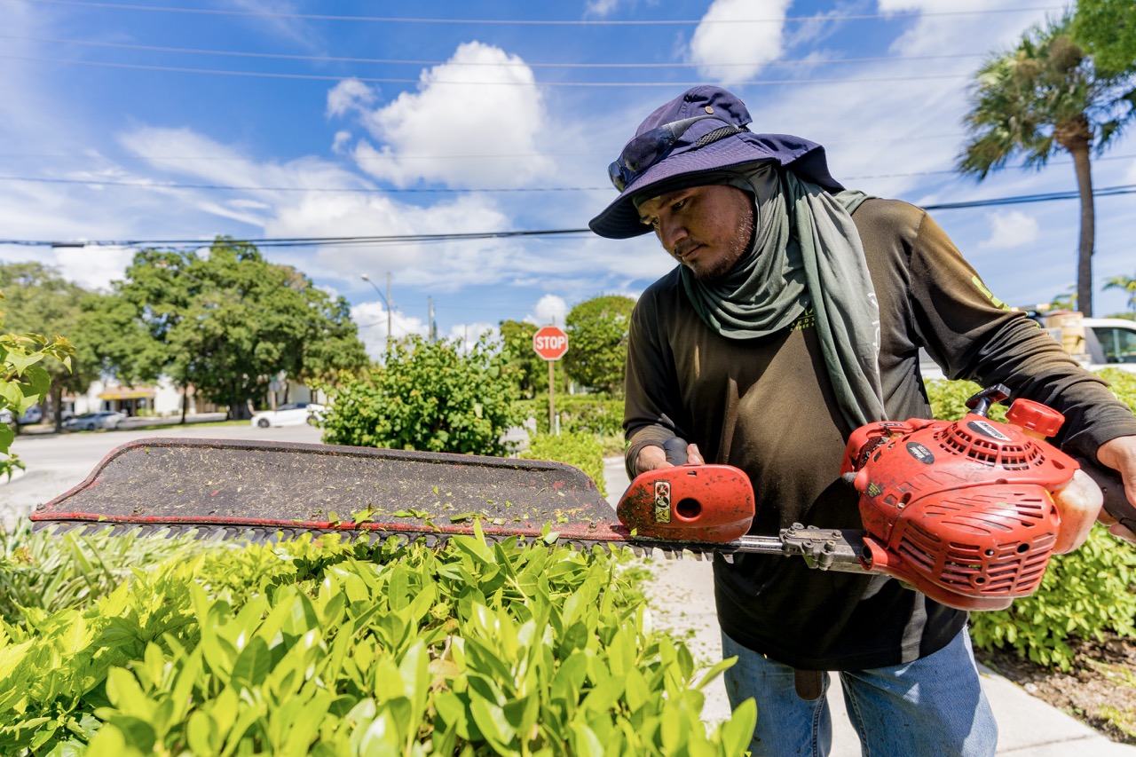 royal palm yacht landscaper