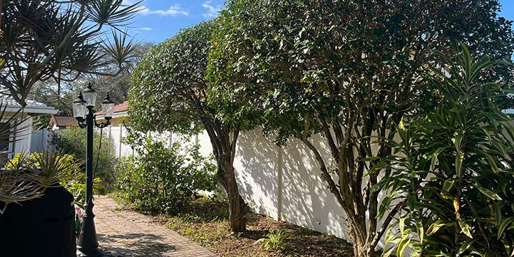 Landscaping Services in Boca Pointe