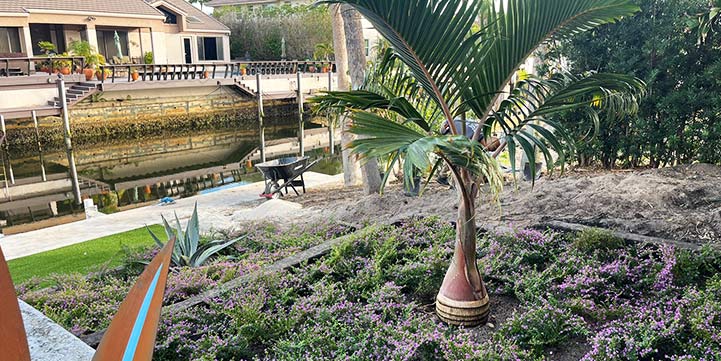 Landscaping Services in Hillsboro Ranches