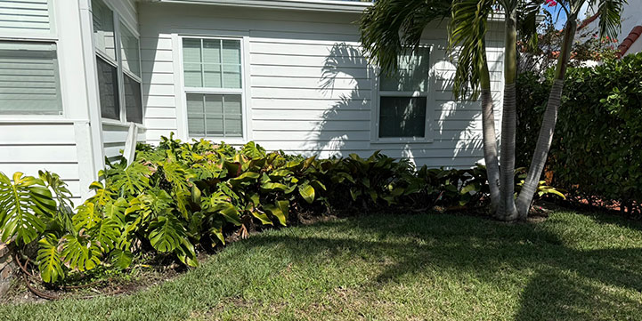 Landscaping Services in Mission Bay