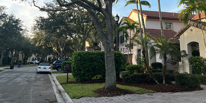 Landscaping Services in Pearl city