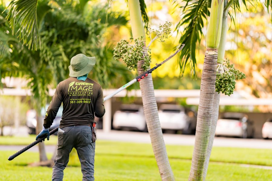 landscaping expert in Butler Farms, FL