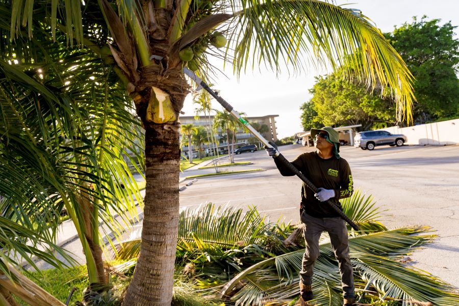 professional landscaping contractor in Coral Creek, FL