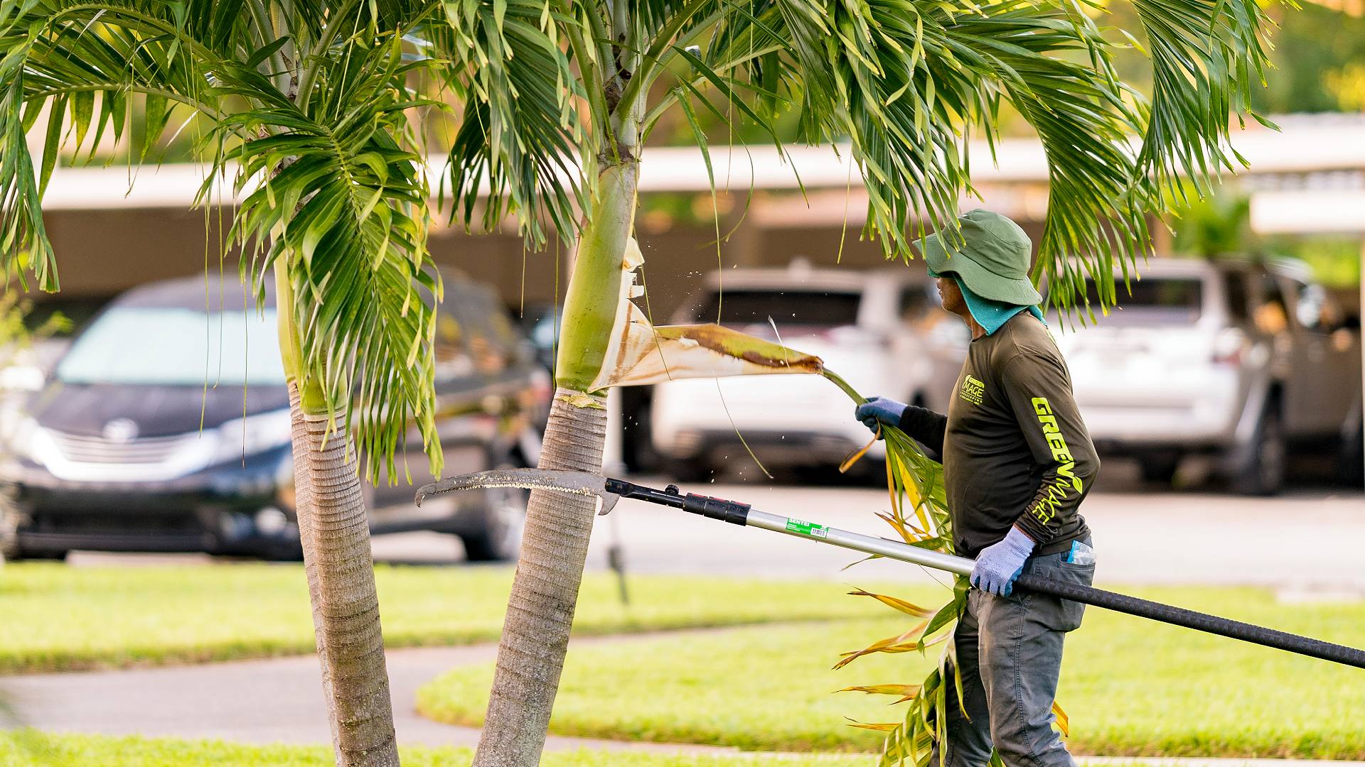 top commercial landscaping services in Boca Raton, FL