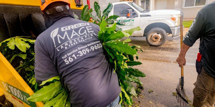 Low-Maintenance Landscape in Boca Raton