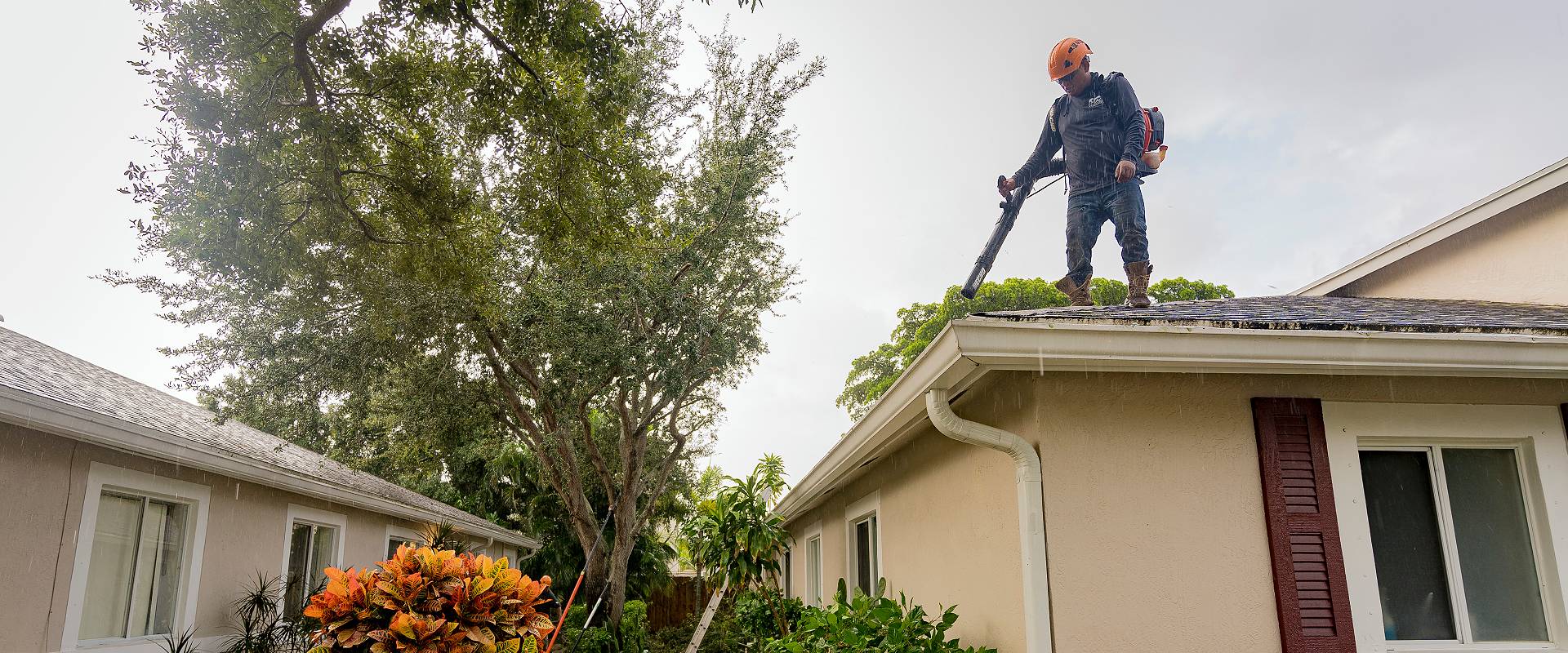 professional landscaping contractor in royal land