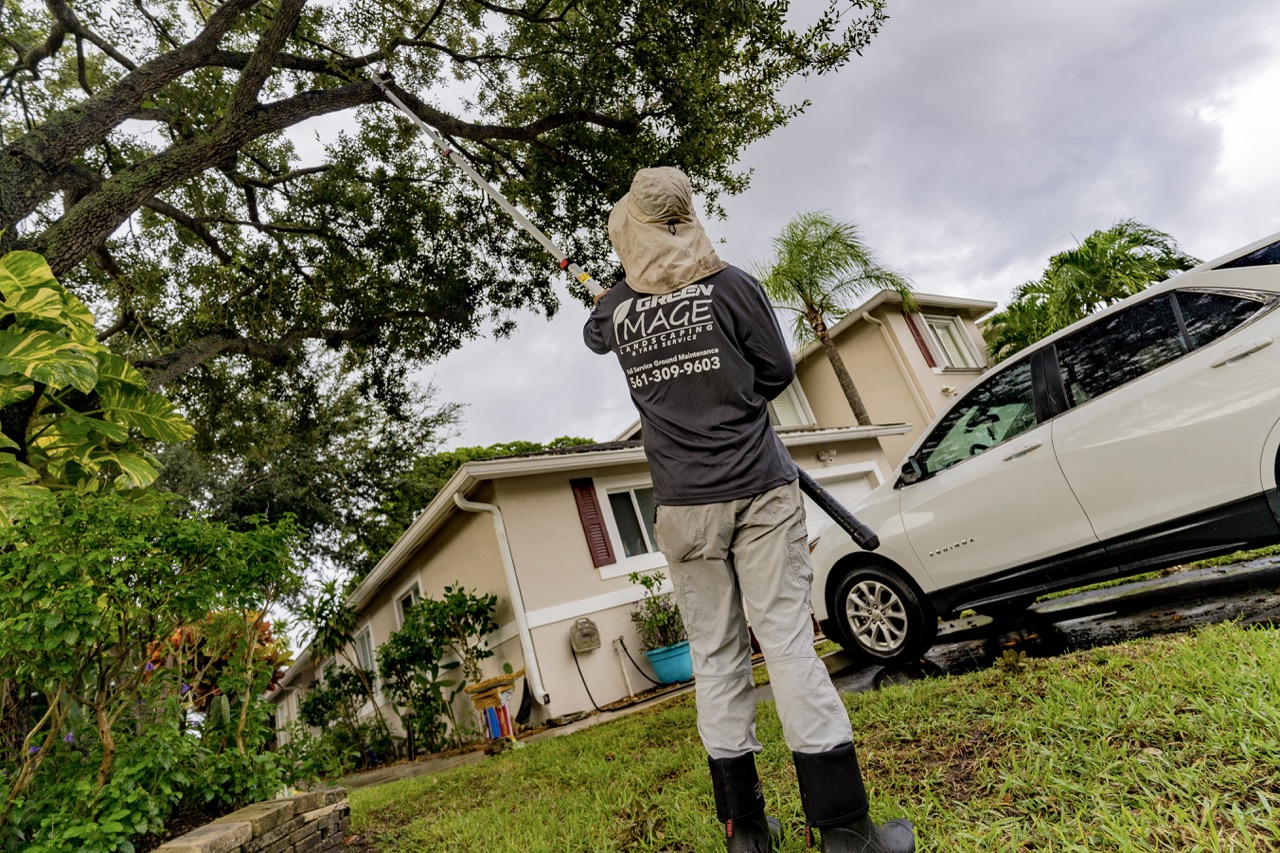 professional landscaping contractor in the dells, fl
