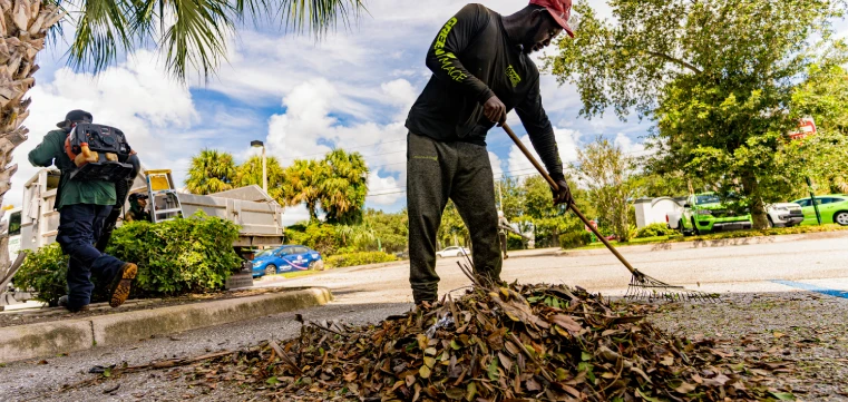 fall landscape cleanup experts in palm beach