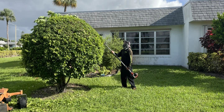 westview fl landscaping contractor