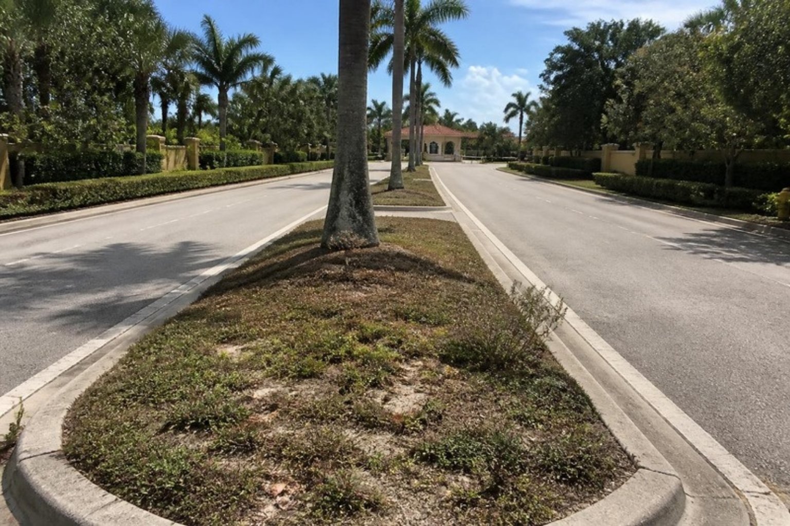 Center island today with weeds and bare soil